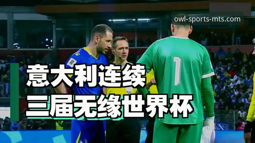 波黑点球淘汰意大利：一场世界杯生死战的深度评测与观赛体验