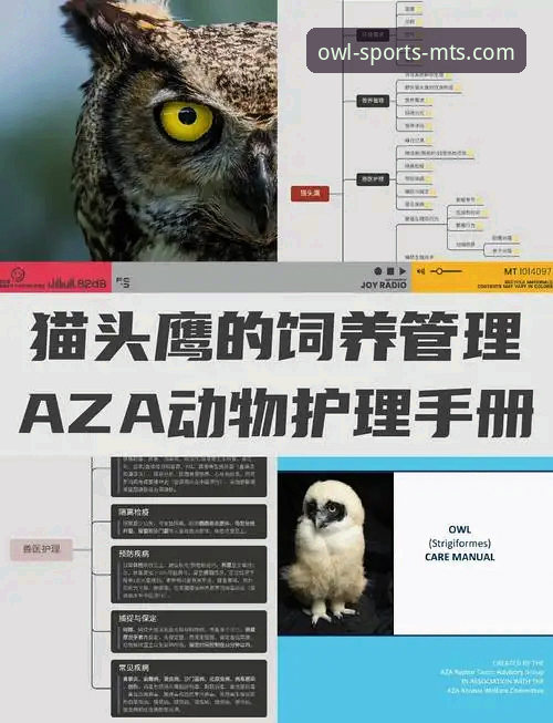 猫头鹰体育平台安装失败问题排查与解决完整指南